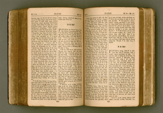 主要名稱：SIN KŪ IOK Ê SÈNG-KENG  TSOÂN SU/其他-其他名稱：新舊約ê聖經全書圖檔，第335張，共572張