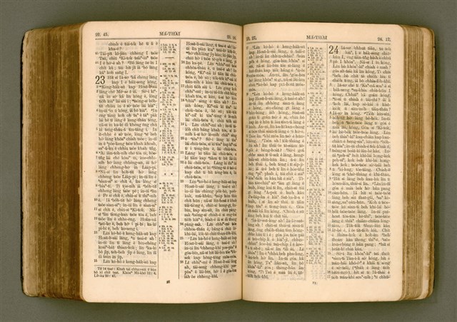 主要名稱：SIN KŪ IOK Ê SÈNG-KENG  TSOÂN SU/其他-其他名稱：新舊約ê聖經全書圖檔，第428張，共572張