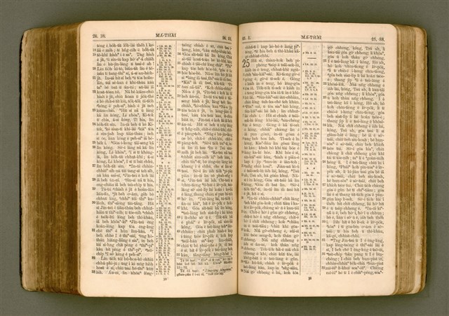 主要名稱：SIN KŪ IOK Ê SÈNG-KENG  TSOÂN SU/其他-其他名稱：新舊約ê聖經全書圖檔，第429張，共572張