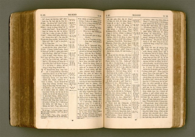 主要名稱：SIN KŪ IOK Ê SÈNG-KENG  TSOÂN SU/其他-其他名稱：新舊約ê聖經全書圖檔，第437張，共572張