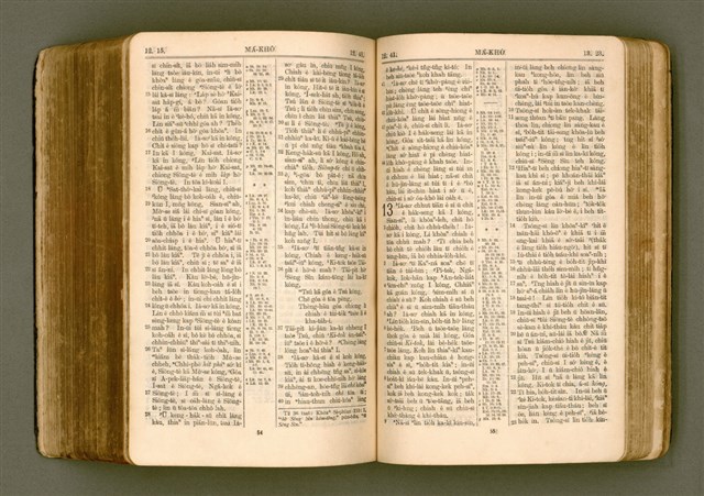 主要名稱：SIN KŪ IOK Ê SÈNG-KENG  TSOÂN SU/其他-其他名稱：新舊約ê聖經全書圖檔，第441張，共572張