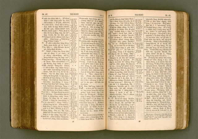 主要名稱：SIN KŪ IOK Ê SÈNG-KENG  TSOÂN SU/其他-其他名稱：新舊約ê聖經全書圖檔，第443張，共572張