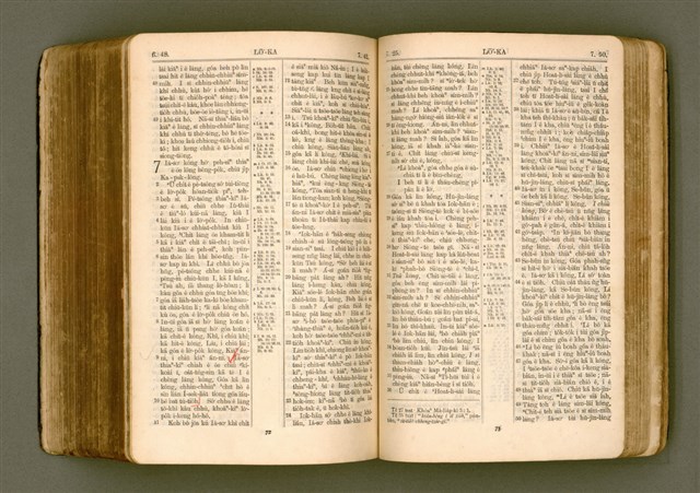 主要名稱：SIN KŪ IOK Ê SÈNG-KENG  TSOÂN SU/其他-其他名稱：新舊約ê聖經全書圖檔，第450張，共572張