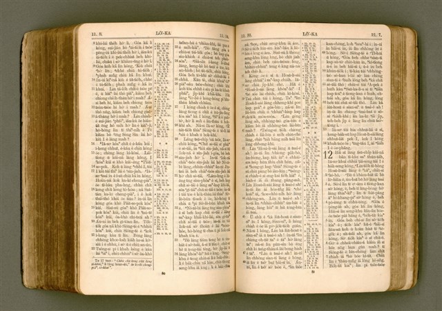 主要名稱：SIN KŪ IOK Ê SÈNG-KENG  TSOÂN SU/其他-其他名稱：新舊約ê聖經全書圖檔，第454張，共572張