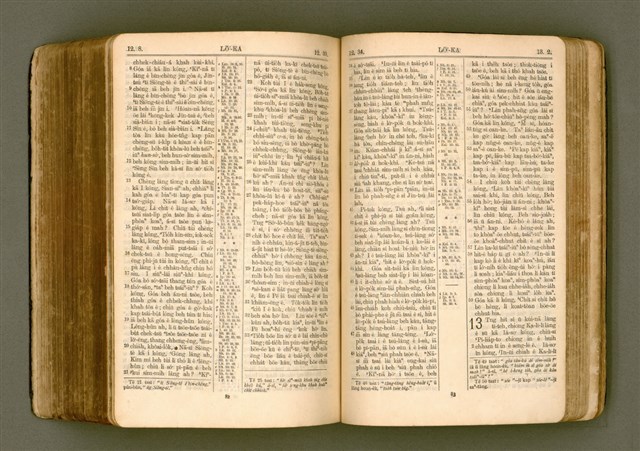 主要名稱：SIN KŪ IOK Ê SÈNG-KENG  TSOÂN SU/其他-其他名稱：新舊約ê聖經全書圖檔，第455張，共572張