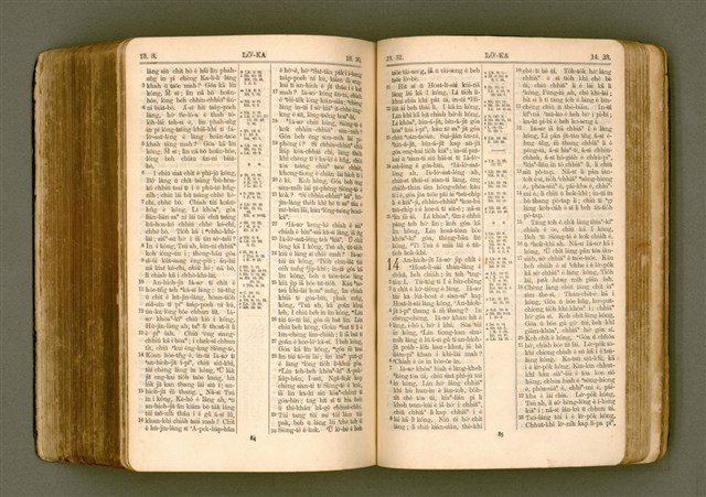 主要名稱：SIN KŪ IOK Ê SÈNG-KENG  TSOÂN SU/其他-其他名稱：新舊約ê聖經全書圖檔，第456張，共572張