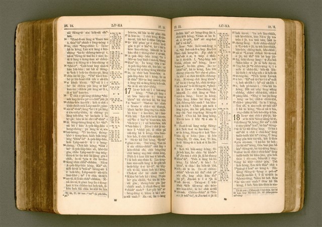 主要名稱：SIN KŪ IOK Ê SÈNG-KENG  TSOÂN SU/其他-其他名稱：新舊約ê聖經全書圖檔，第458張，共572張