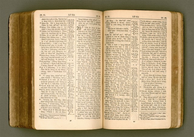 主要名稱：SIN KŪ IOK Ê SÈNG-KENG  TSOÂN SU/其他-其他名稱：新舊約ê聖經全書圖檔，第460張，共572張