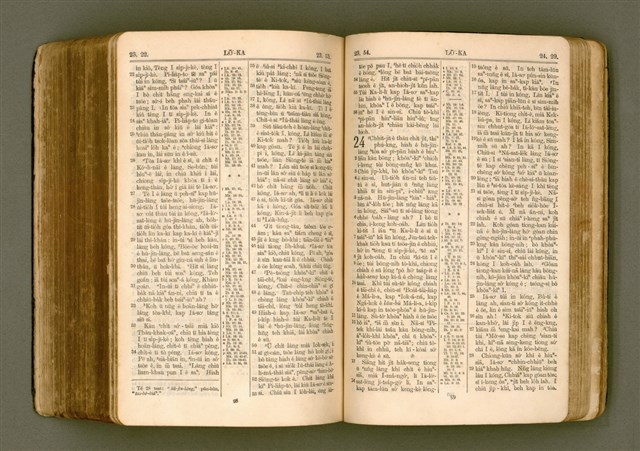 主要名稱：SIN KŪ IOK Ê SÈNG-KENG  TSOÂN SU/其他-其他名稱：新舊約ê聖經全書圖檔，第463張，共572張