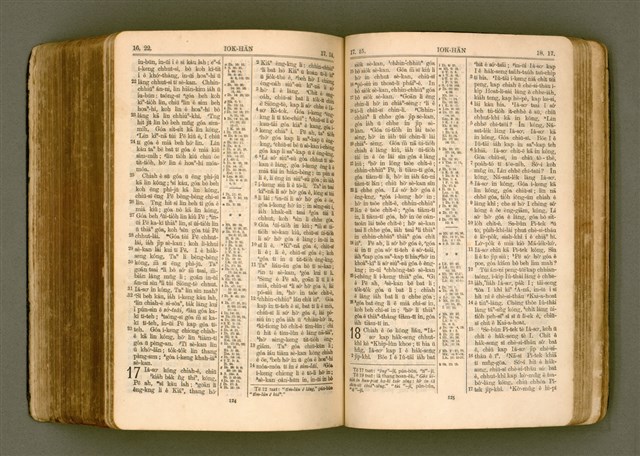 主要名稱：SIN KŪ IOK Ê SÈNG-KENG  TSOÂN SU/其他-其他名稱：新舊約ê聖經全書圖檔，第476張，共572張