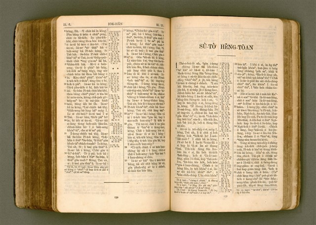 主要名稱：SIN KŪ IOK Ê SÈNG-KENG  TSOÂN SU/其他-其他名稱：新舊約ê聖經全書圖檔，第479張，共572張