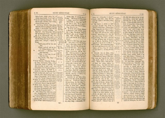 主要名稱：SIN KŪ IOK Ê SÈNG-KENG  TSOÂN SU/其他-其他名稱：新舊約ê聖經全書圖檔，第482張，共572張