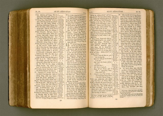 主要名稱：SIN KŪ IOK Ê SÈNG-KENG  TSOÂN SU/其他-其他名稱：新舊約ê聖經全書圖檔，第489張，共572張