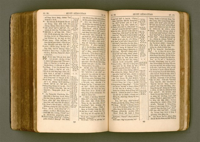 主要名稱：SIN KŪ IOK Ê SÈNG-KENG  TSOÂN SU/其他-其他名稱：新舊約ê聖經全書圖檔，第490張，共572張