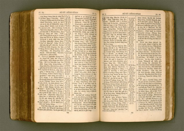 主要名稱：SIN KŪ IOK Ê SÈNG-KENG  TSOÂN SU/其他-其他名稱：新舊約ê聖經全書圖檔，第491張，共572張