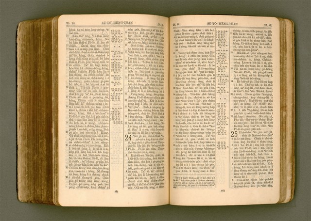 主要名稱：SIN KŪ IOK Ê SÈNG-KENG  TSOÂN SU/其他-其他名稱：新舊約ê聖經全書圖檔，第495張，共572張