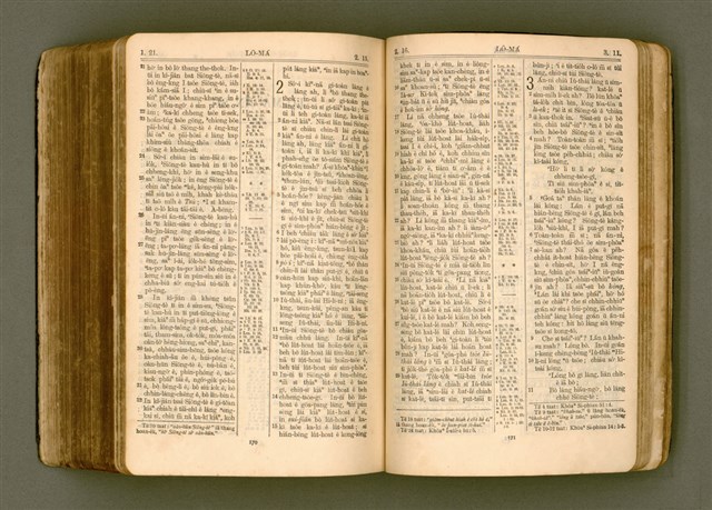 主要名稱：SIN KŪ IOK Ê SÈNG-KENG  TSOÂN SU/其他-其他名稱：新舊約ê聖經全書圖檔，第499張，共572張