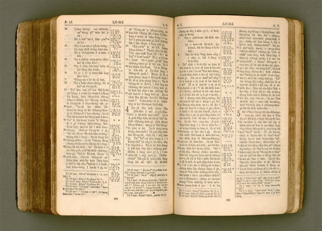 主要名稱：SIN KŪ IOK Ê SÈNG-KENG  TSOÂN SU/其他-其他名稱：新舊約ê聖經全書圖檔，第500張，共572張