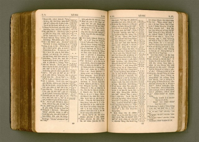 主要名稱：SIN KŪ IOK Ê SÈNG-KENG  TSOÂN SU/其他-其他名稱：新舊約ê聖經全書圖檔，第502張，共572張