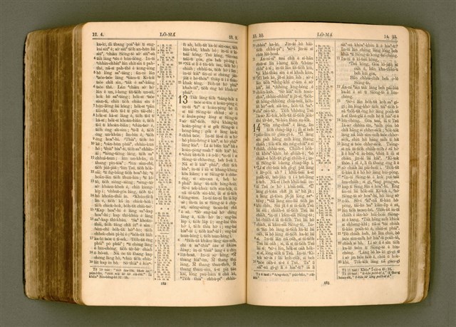 主要名稱：SIN KŪ IOK Ê SÈNG-KENG  TSOÂN SU/其他-其他名稱：新舊約ê聖經全書圖檔，第505張，共572張