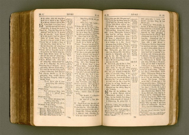 主要名稱：SIN KŪ IOK Ê SÈNG-KENG  TSOÂN SU/其他-其他名稱：新舊約ê聖經全書圖檔，第506張，共572張