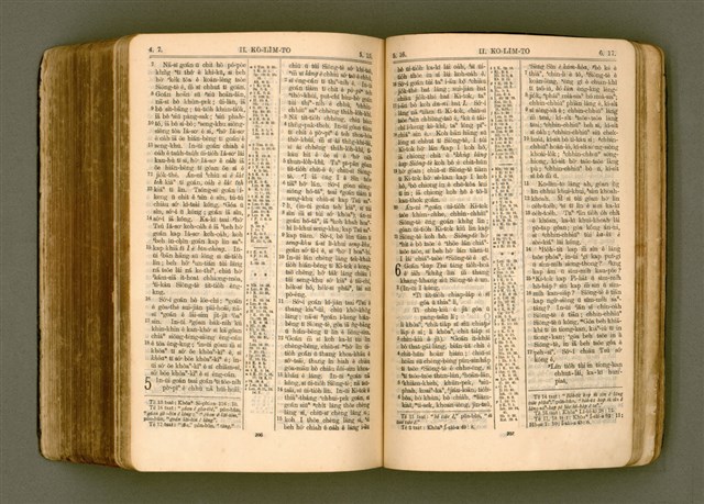 主要名稱：SIN KŪ IOK Ê SÈNG-KENG  TSOÂN SU/其他-其他名稱：新舊約ê聖經全書圖檔，第517張，共572張