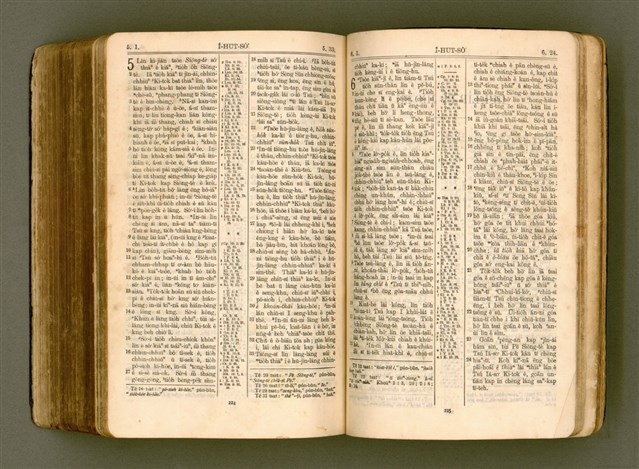 主要名稱：SIN KŪ IOK Ê SÈNG-KENG  TSOÂN SU/其他-其他名稱：新舊約ê聖經全書圖檔，第526張，共572張