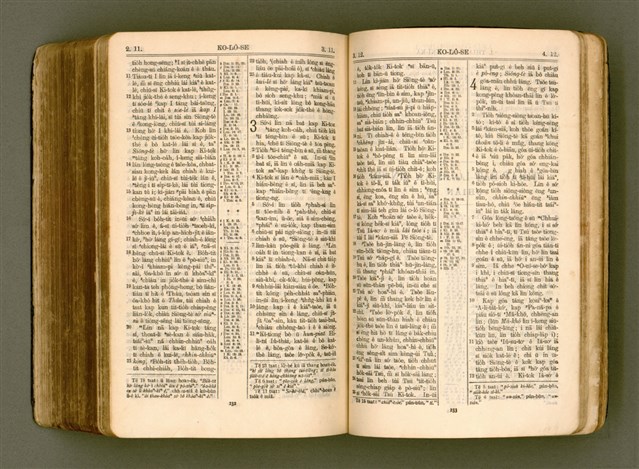 主要名稱：SIN KŪ IOK Ê SÈNG-KENG  TSOÂN SU/其他-其他名稱：新舊約ê聖經全書圖檔，第530張，共572張