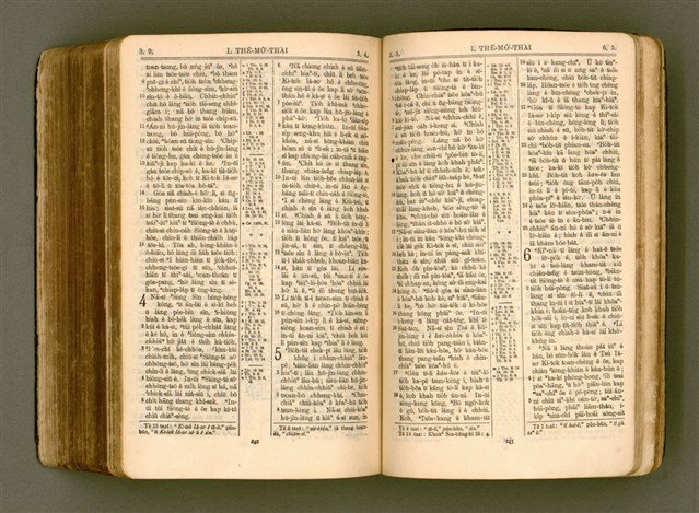主要名稱：SIN KŪ IOK Ê SÈNG-KENG  TSOÂN SU/其他-其他名稱：新舊約ê聖經全書圖檔，第535張，共572張