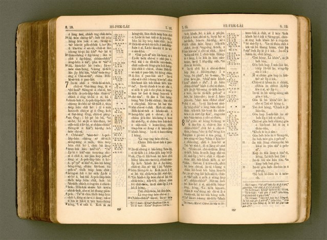 主要名稱：SIN KŪ IOK Ê SÈNG-KENG  TSOÂN SU/其他-其他名稱：新舊約ê聖經全書圖檔，第542張，共572張