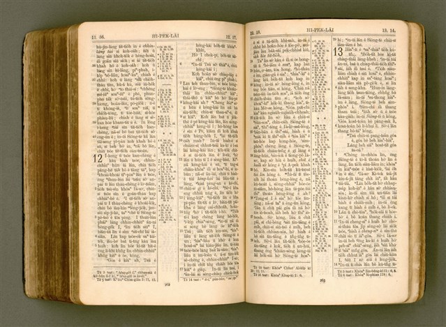 主要名稱：SIN KŪ IOK Ê SÈNG-KENG  TSOÂN SU/其他-其他名稱：新舊約ê聖經全書圖檔，第545張，共572張