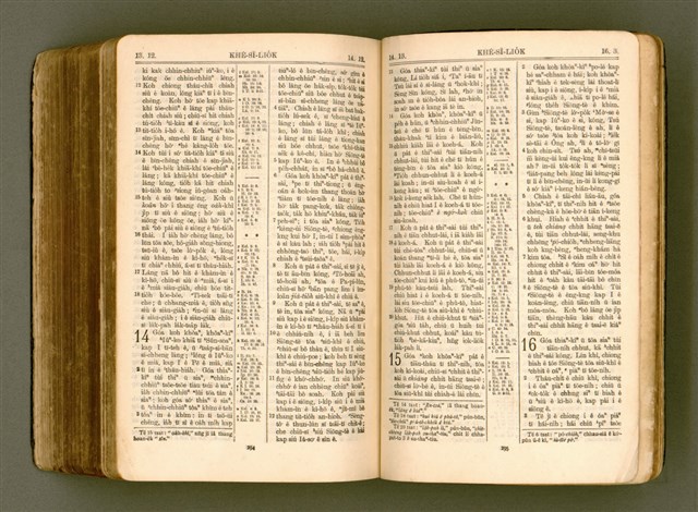主要名稱：SIN KŪ IOK Ê SÈNG-KENG  TSOÂN SU/其他-其他名稱：新舊約ê聖經全書圖檔，第561張，共572張