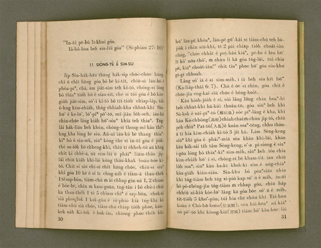 主要名稱：SI̍P-JĪ-KÈ Ê KAU-CHIÀN/其他-其他名稱：十字架ê交戰圖檔，第29張，共73張