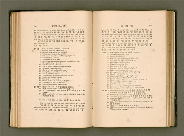 主要名稱：LÔ HOA KÁI-TSŌ THÓNG-IT SU-HĀN-BÛN圖檔，第119張，共281張