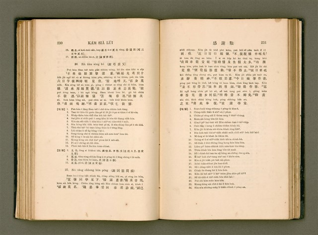 主要名稱：LÔ HOA KÁI-TSŌ THÓNG-IT SU-HĀN-BÛN圖檔，第133張，共281張