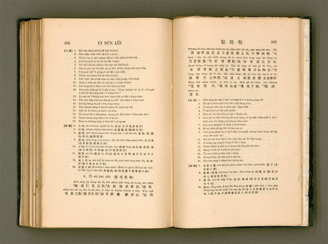 主要名稱：LÔ HOA KÁI-TSŌ THÓNG-IT SU-HĀN-BÛN圖檔，第272張，共281張