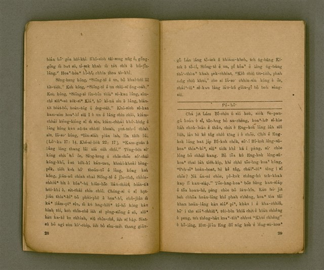 主要名稱：THIAN-LŌ͘ CHÍ-LÂM/其他-其他名稱：天路指南圖檔，第19張，共103張