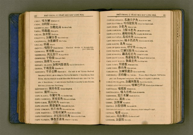 主要名稱：廈門音新字典/其他-其他名稱：Ē-mn̂g im Sin Jī-tián圖檔，第400張，共520張