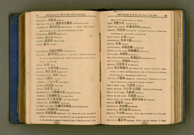 主要名稱：廈門音新字典/其他-其他名稱：Ē-mn̂g im Sin Jī-tián圖檔，第404張，共520張