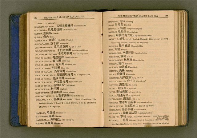 主要名稱：廈門音新字典/其他-其他名稱：Ē-mn̂g im Sin Jī-tián圖檔，第405張，共520張