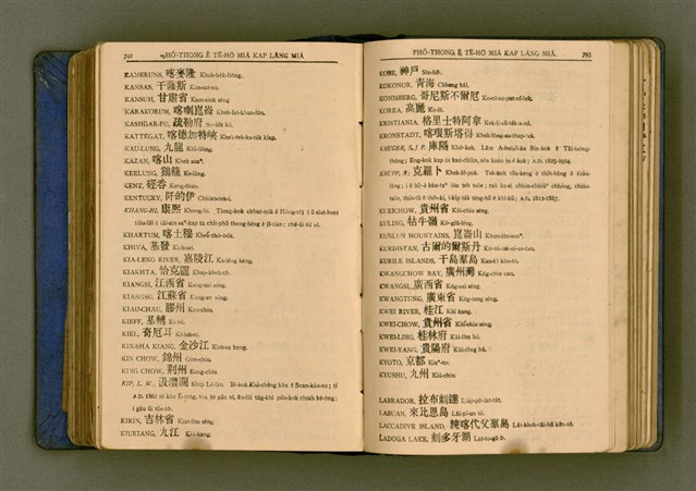 主要名稱：廈門音新字典/其他-其他名稱：Ē-mn̂g im Sin Jī-tián圖檔，第408張，共520張