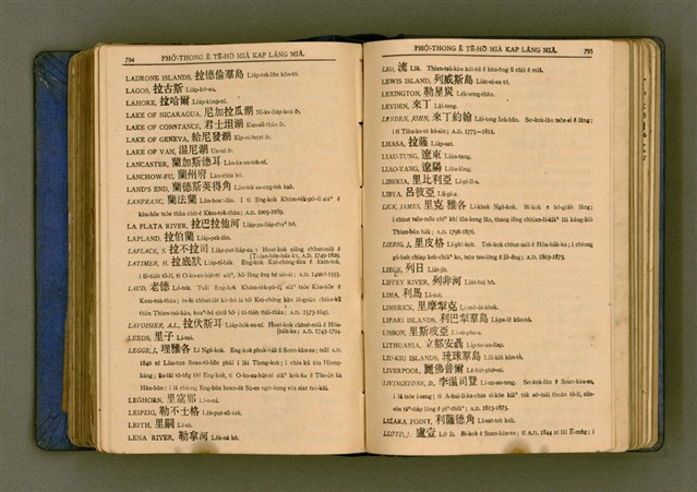 主要名稱：廈門音新字典/其他-其他名稱：Ē-mn̂g im Sin Jī-tián圖檔，第409張，共520張