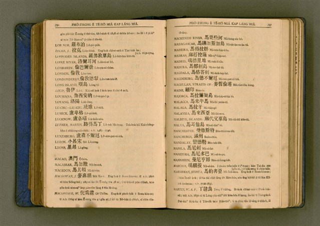 主要名稱：廈門音新字典/其他-其他名稱：Ē-mn̂g im Sin Jī-tián圖檔，第410張，共520張