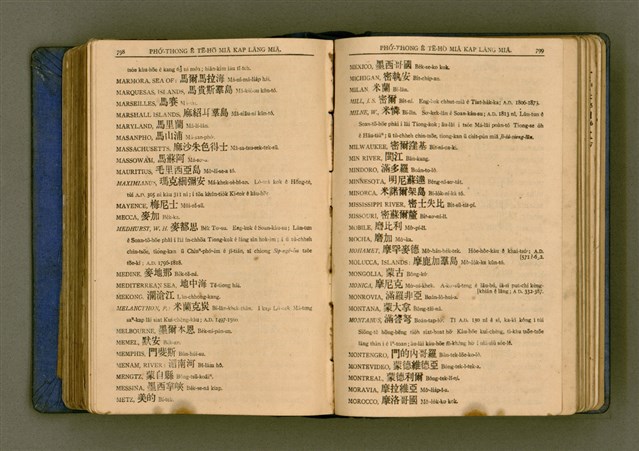 主要名稱：廈門音新字典/其他-其他名稱：Ē-mn̂g im Sin Jī-tián圖檔，第411張，共520張