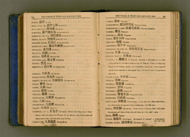 主要名稱：廈門音新字典/其他-其他名稱：Ē-mn̂g im Sin Jī-tián圖檔，第418張，共520張