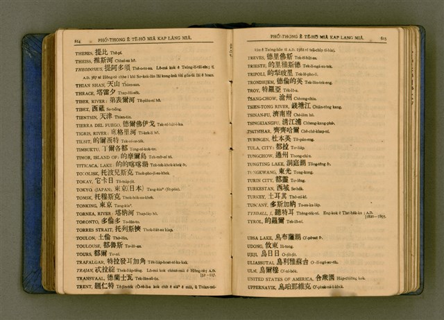 主要名稱：廈門音新字典/其他-其他名稱：Ē-mn̂g im Sin Jī-tián圖檔，第419張，共520張