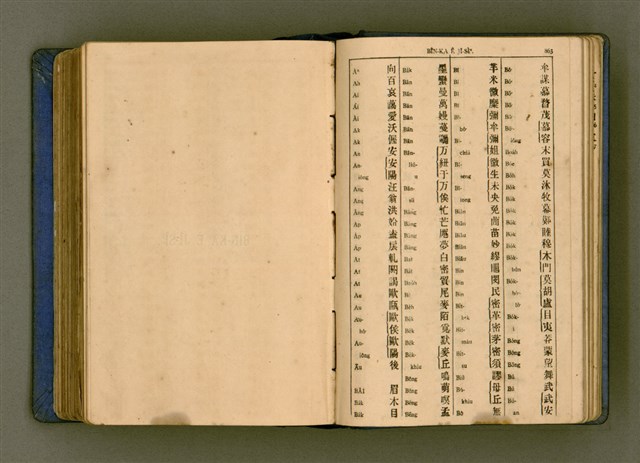 主要名稱：廈門音新字典/其他-其他名稱：Ē-mn̂g im Sin Jī-tián圖檔，第443張，共520張