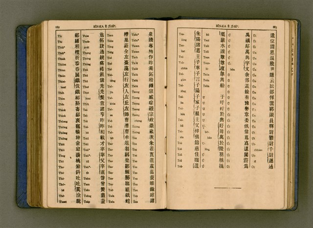 主要名稱：廈門音新字典/其他-其他名稱：Ē-mn̂g im Sin Jī-tián圖檔，第453張，共520張