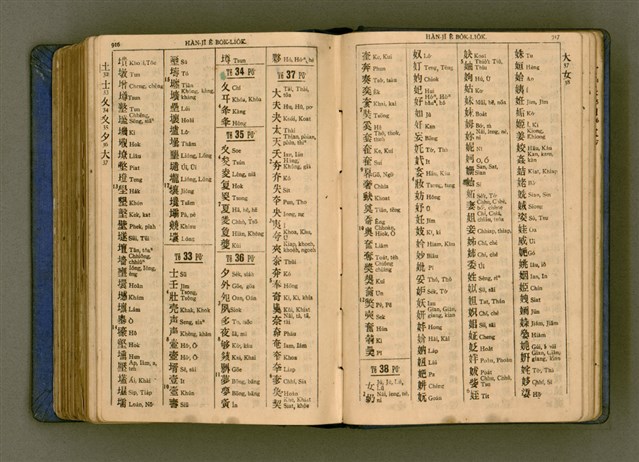 主要名稱：廈門音新字典/其他-其他名稱：Ē-mn̂g im Sin Jī-tián圖檔，第470張，共520張