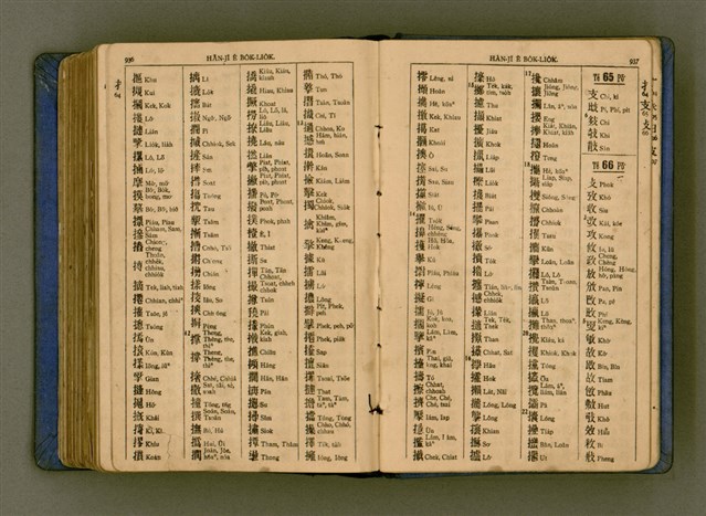 主要名稱：廈門音新字典/其他-其他名稱：Ē-mn̂g im Sin Jī-tián圖檔，第480張，共520張